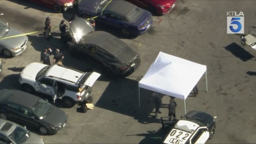 Hollywood human remains