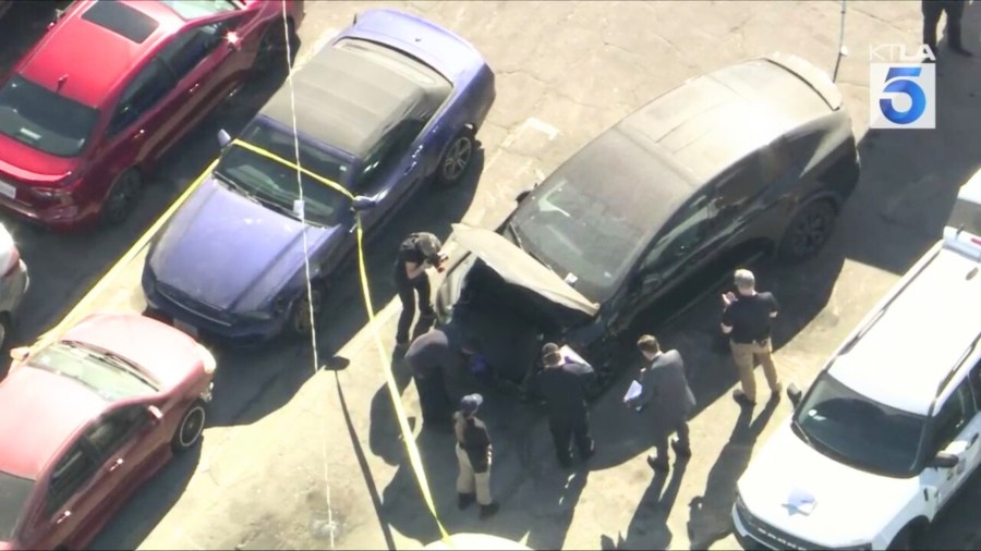 Hollywood human remains