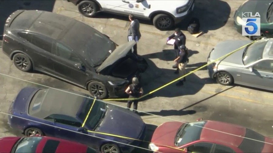 Hollywood human remains