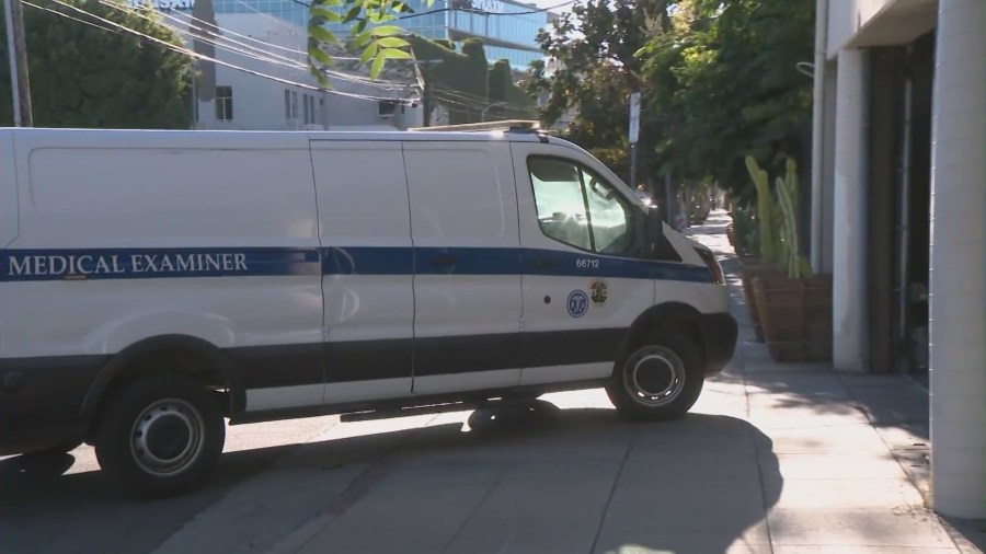 Human remains found in Hollywood