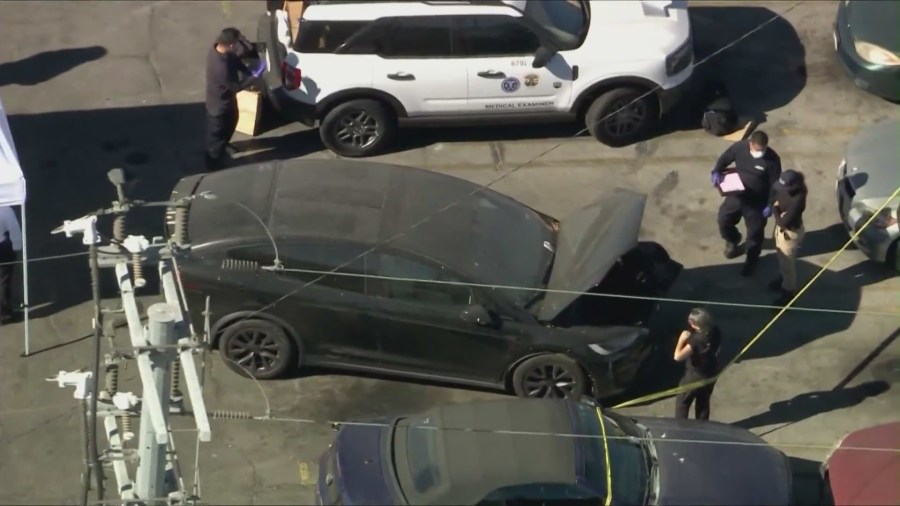 Human remains found in Hollywood