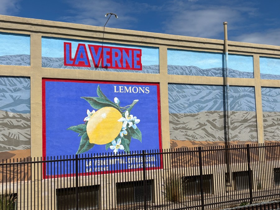 A lemon mural on a wall across from the new La Verne/Fairplex Station along the Metro A Line is seen on Sept. 19, 2025. (Travis Schlepp/KTLA)