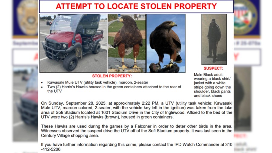 SoFi Stadium hawks stolen