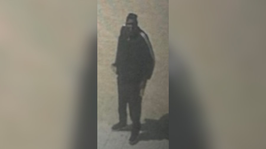 SoFi Stadium hawks stolen