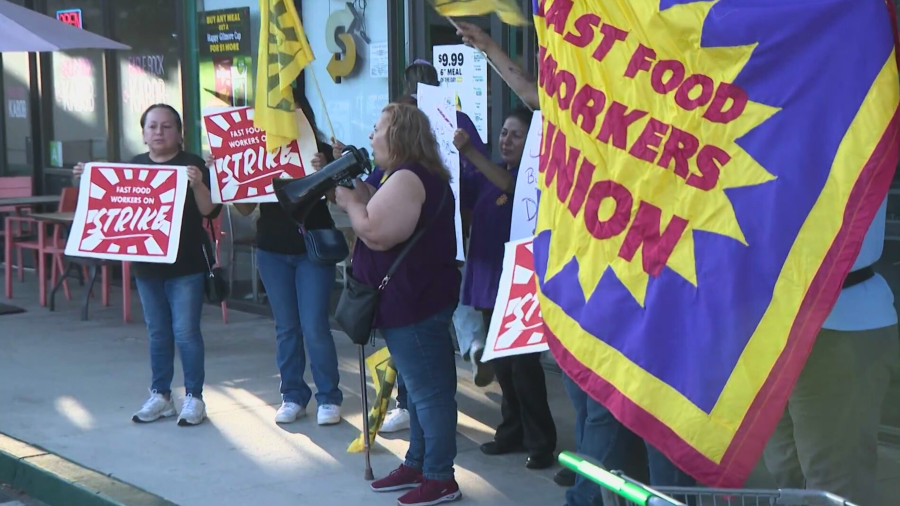 Subway rat infestation