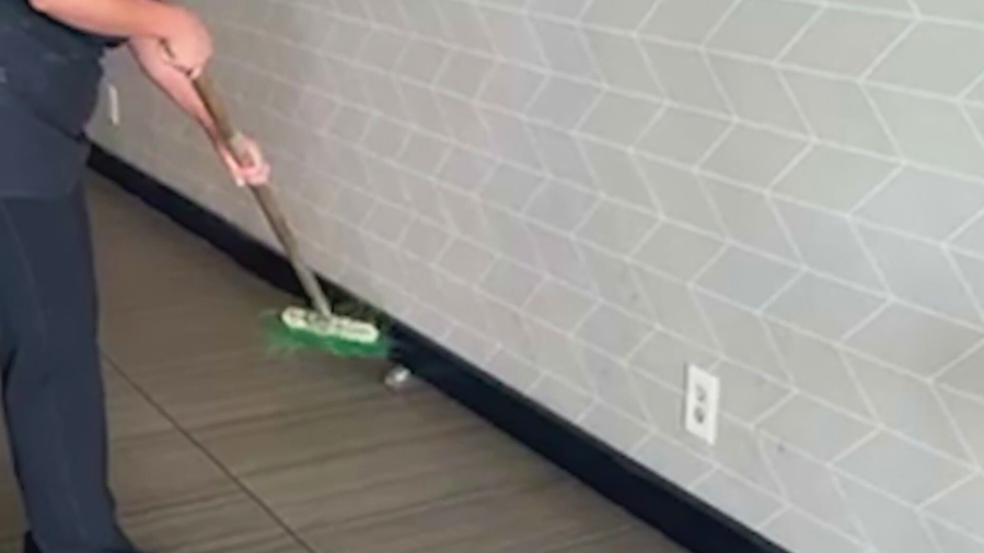 Subway rat infestation