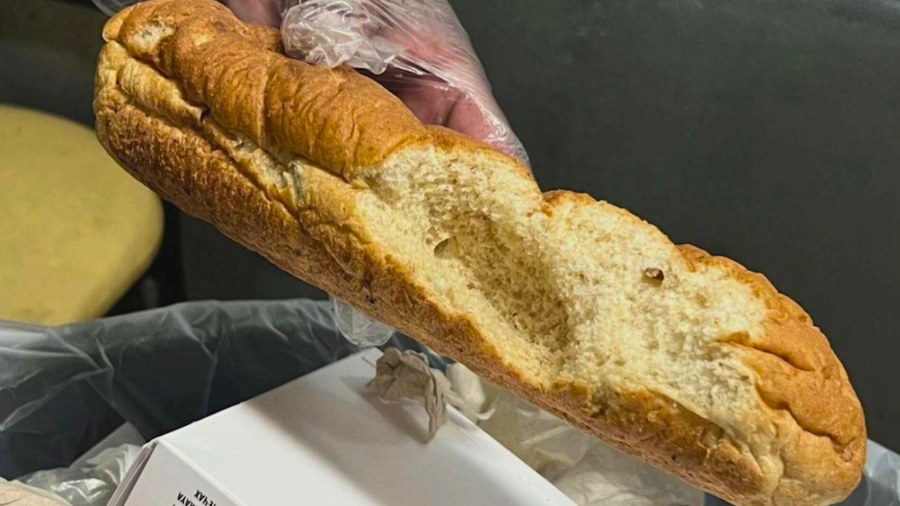 Subway rat infestation