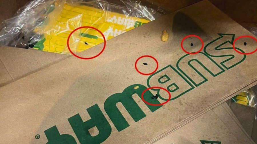 Subway rat infestation