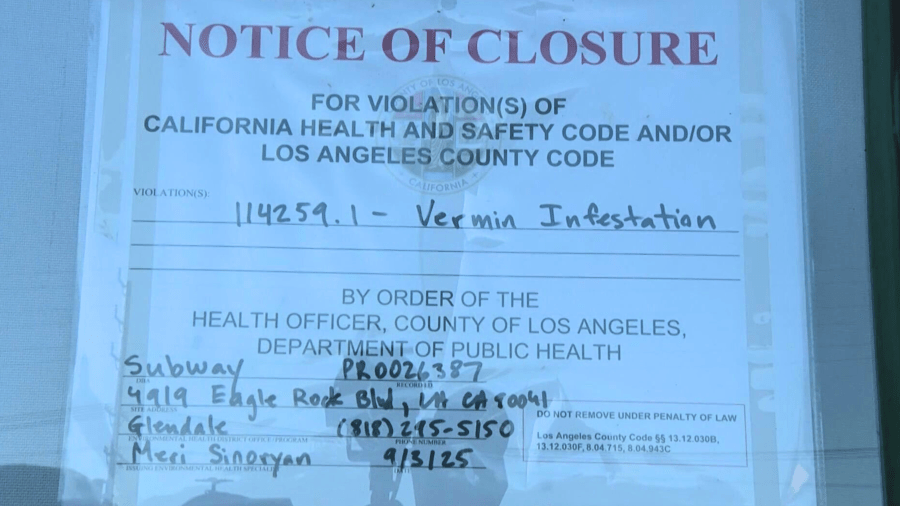 Subway rat infestation