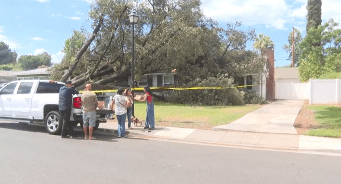 Tree onto Riverside home