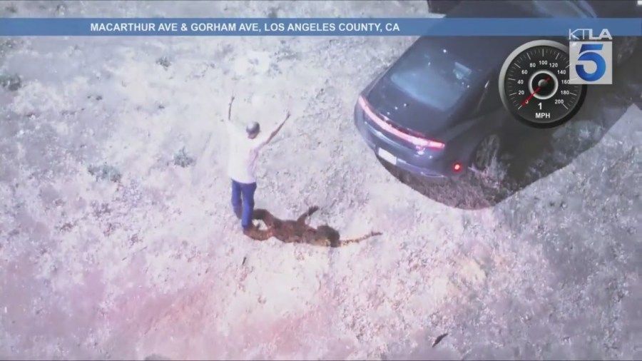 Wrong Way driver pursuit