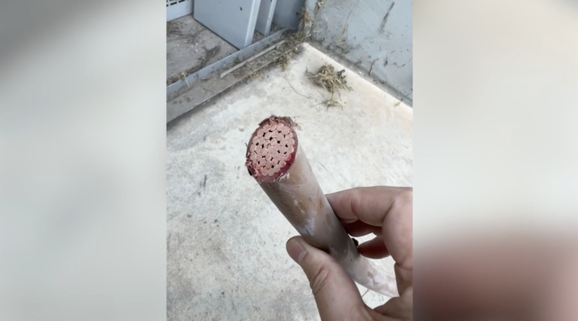 Photos shared with KTLA show the aftermath of copper wire thefts at local businesses in West Rancho Dominguez on Sept. 26, 2025.