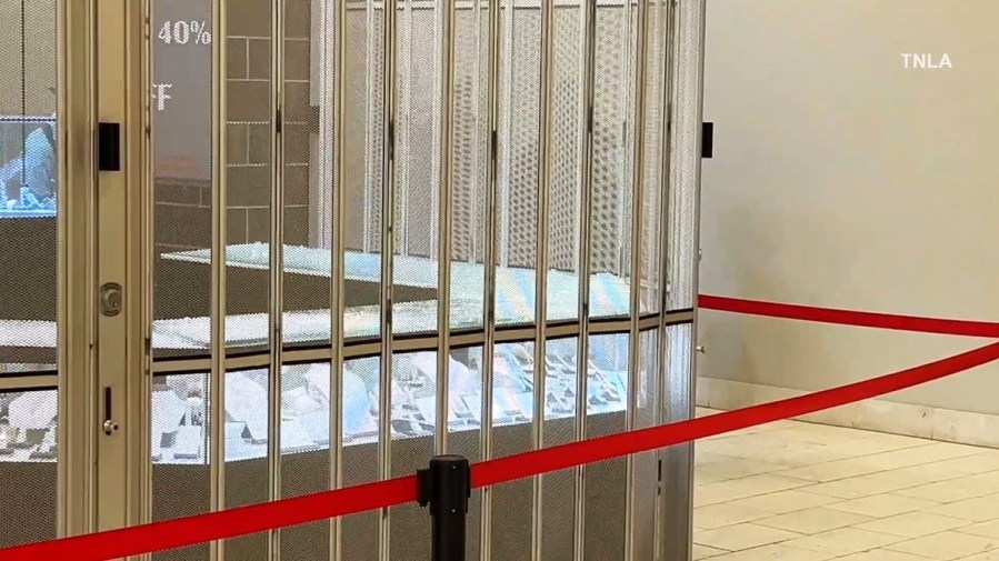 A group of smash-and-grab robbers ransacked a jewelry store at a Sherman Oaks mall before fleeing the scene in a getaway car on Sept. 3, 2025. (TNLA)