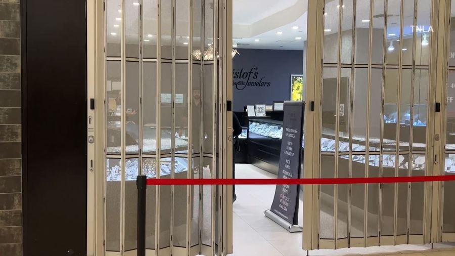 A group of smash-and-grab robbers ransacked a jewelry store at a Sherman Oaks mall before fleeing the scene in a getaway car on Sept. 3, 2025. (TNLA)