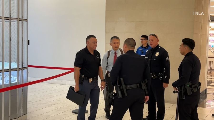 A group of smash-and-grab robbers ransacked a jewelry store at a Sherman Oaks mall before fleeing the scene in a getaway car on Sept. 3, 2025. (TNLA)