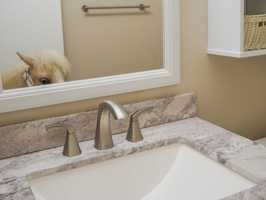 Lemon the miniature therapy horse explores an empty townhome in a viral real estate listing from August 2025. (Lauren Purves)