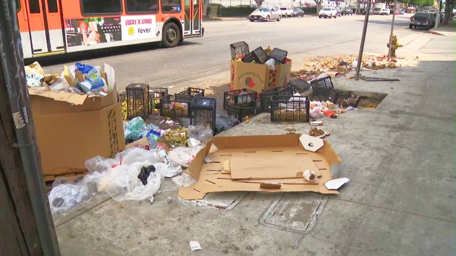 Streets near the Wholesale Produce District in downtown Los Angeles are often lined with rotting food and produce that was illegally dumped, an issue that locals say has been ongoing for years. (KTLA)