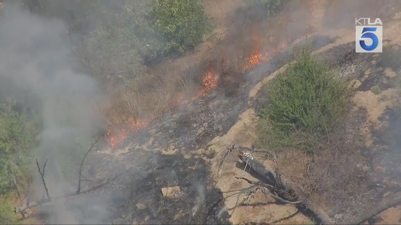 Dodger Stadium brush fire