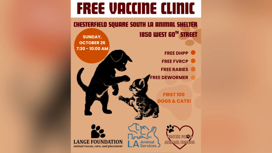 L.A. Animal Services in South L.A. to hold a free vaccine clinic Oct. 26, 2025. (LAAS)