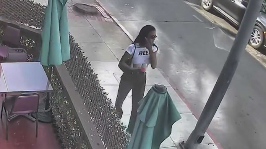 Hollywood model attacked