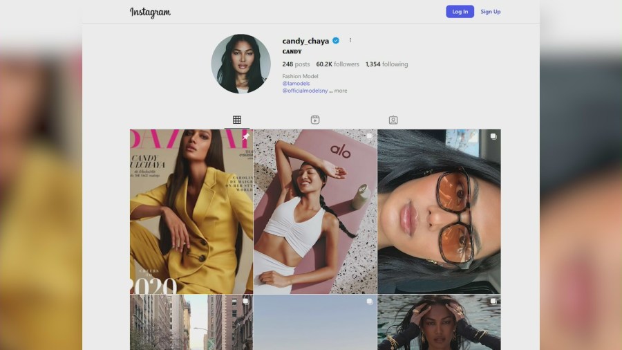 Hollywood model attacked