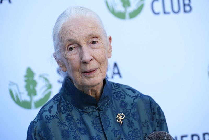 Jane Goodall