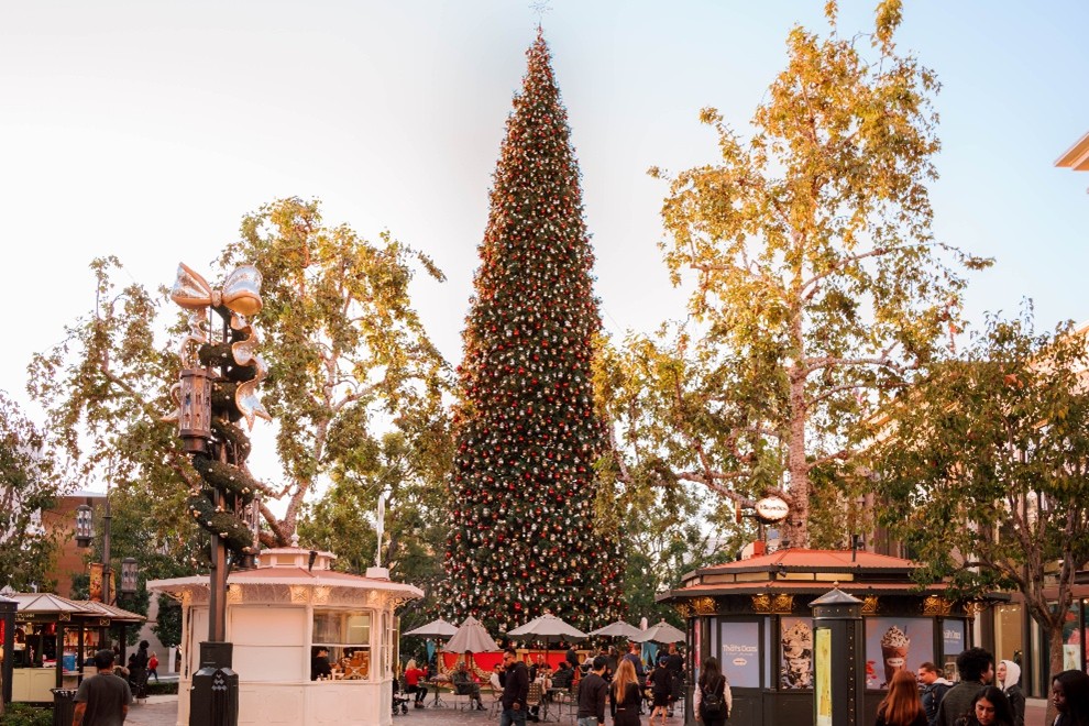 The Grove Christmas Tree