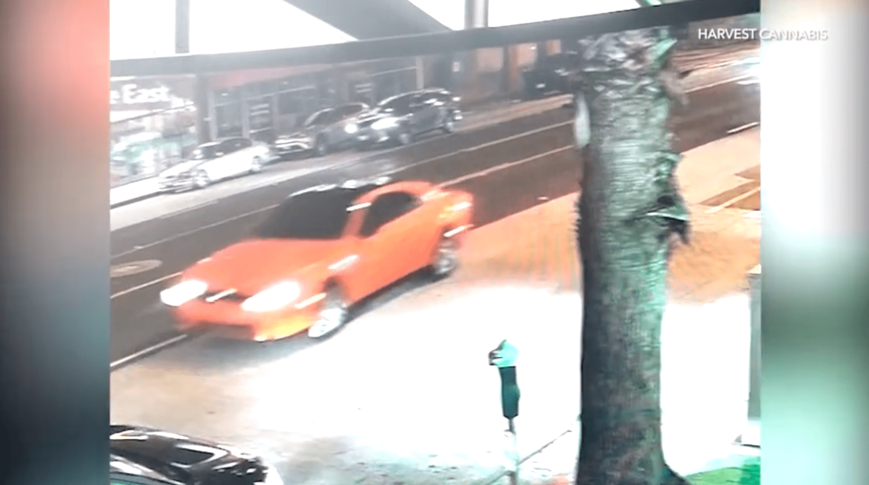 2 dead, 2 hurt in brutal Santa Monica hit-and-run 